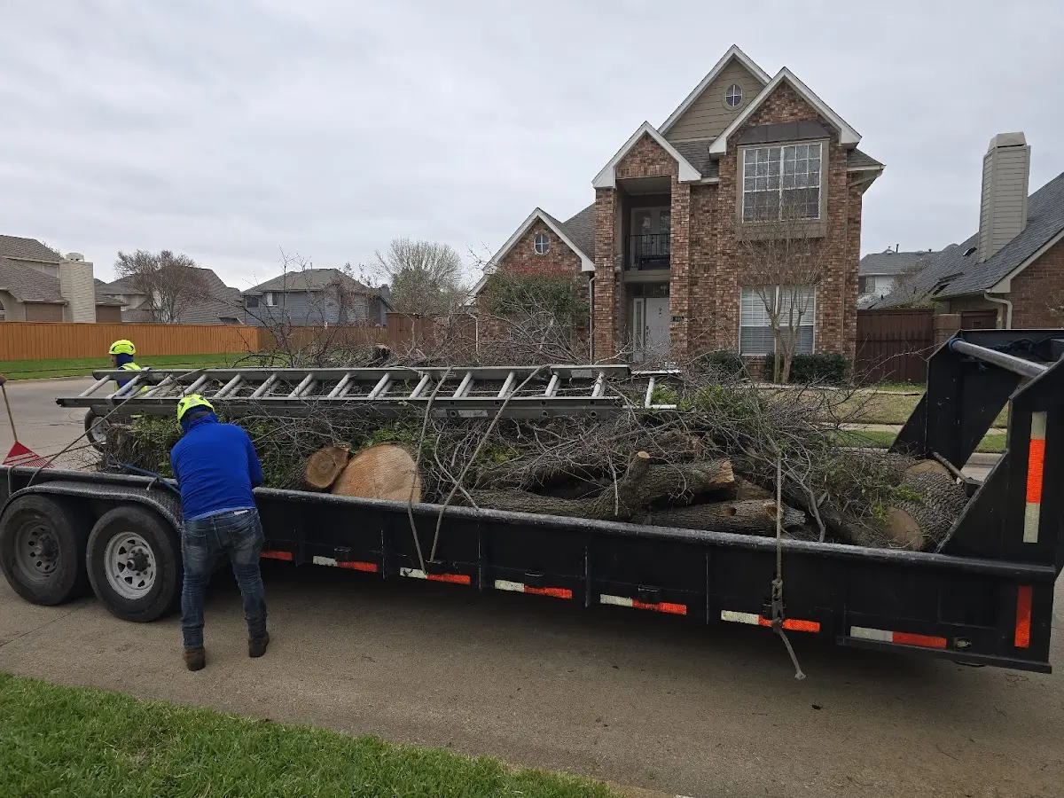 Expert Tree Pest Control with proper safety equipment in Line Lexington